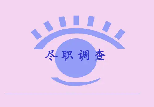 教你如何做尽职调查ppt课件