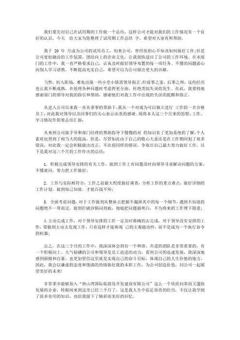试用期工作总结200字