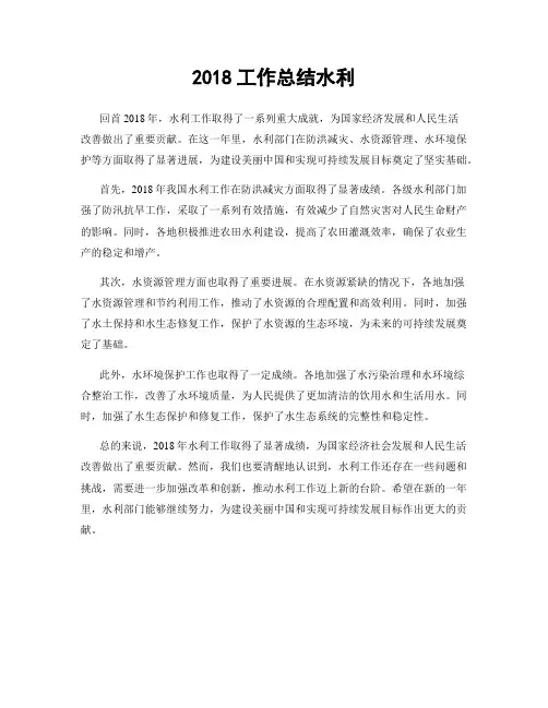 2018工作总结水利