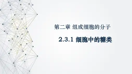 细胞中的糖类和脂质课件高一上学期生物人教版必修1
