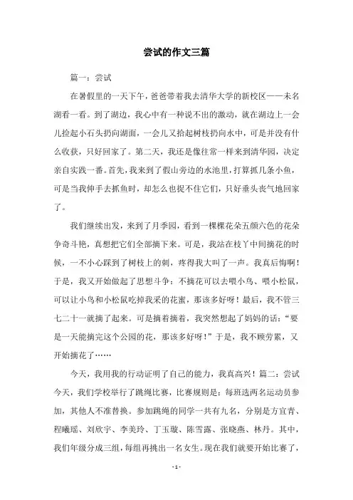 尝试的作文三篇