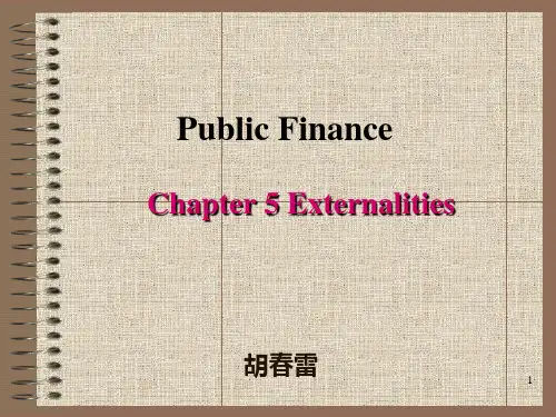 公共财政学之外部性
