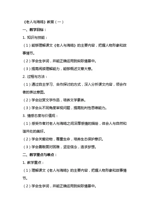 《老人与海鸥教案》word版