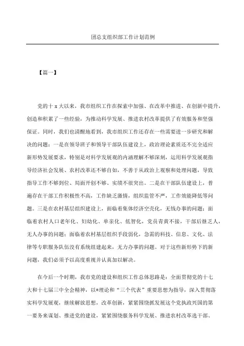 团总支组织部工作计划范例
