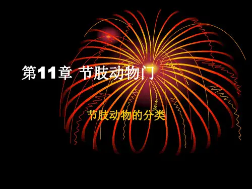 第11章 节肢动物门 5