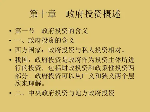 第10章 政府投资概述《投资经济学》PPT课件