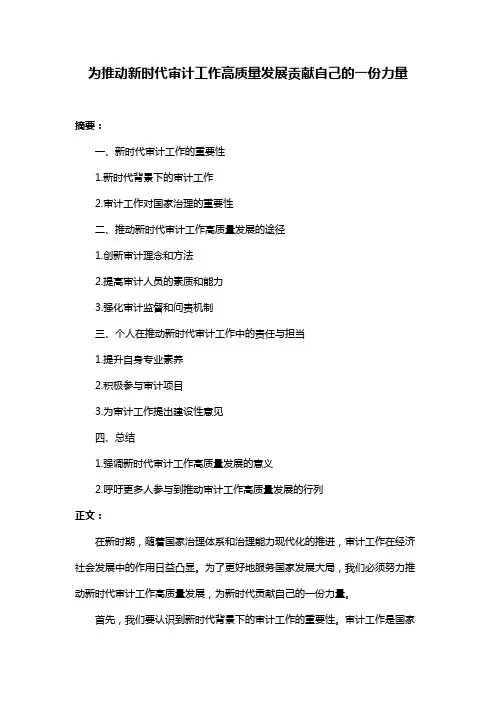 为推动新时代审计工作高质量发展贡献自己的一份力量