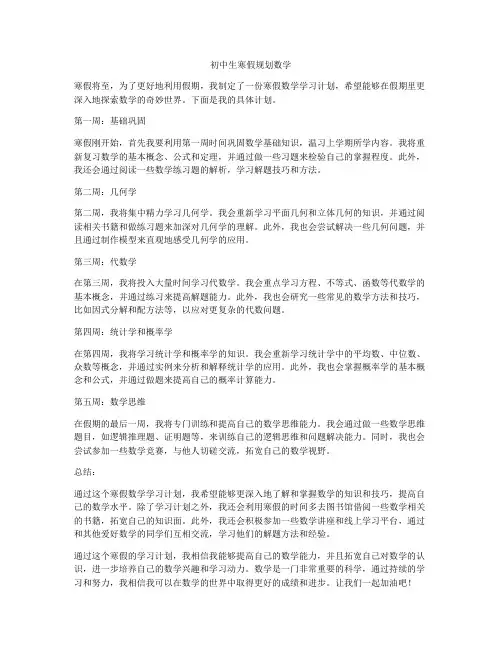 初中生寒假规划数学