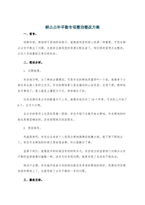耕占占补平衡专项整治整改方案