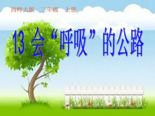 13.会“呼吸”的公路
