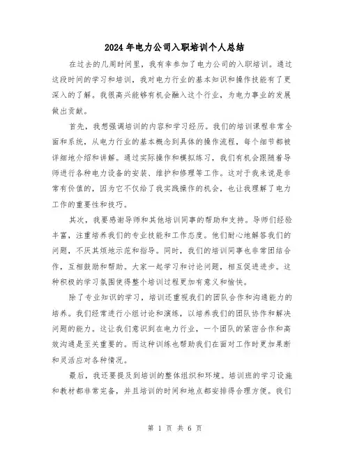 2024年电力公司入职培训个人总结(二篇)