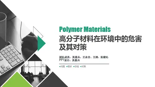 高分子环境工程伦理ppt课件