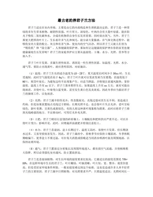 最古老的养君子兰方法