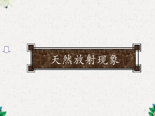 高三物理复习课件 衰变
