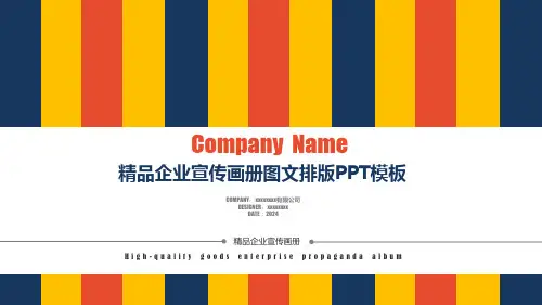 企业介绍产品介绍PPT模板 (17)