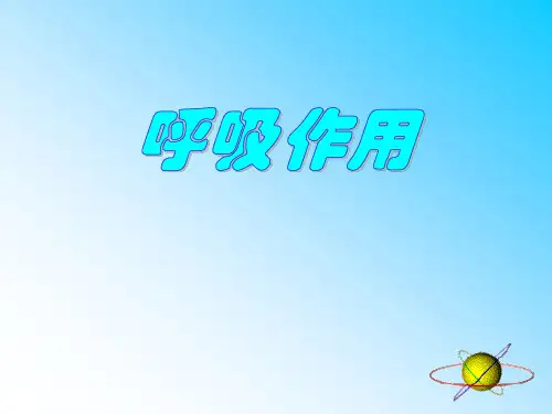 北师大版七年级生物上册《呼吸作用》PPT课件(2篇)