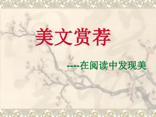 美文赏荐ppt课件