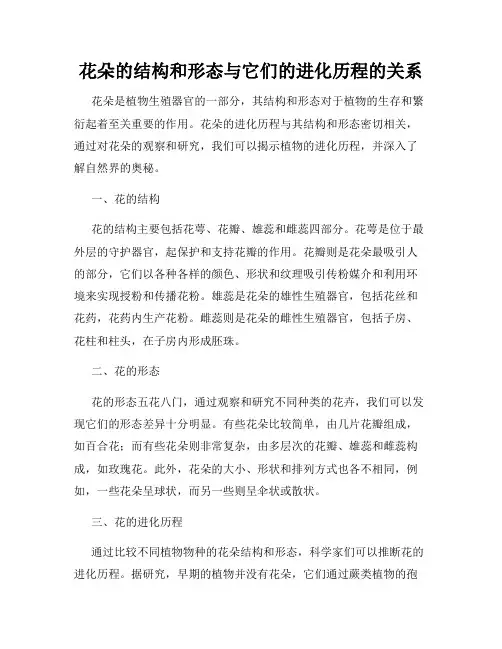 花朵的结构和形态与它们的进化历程的关系