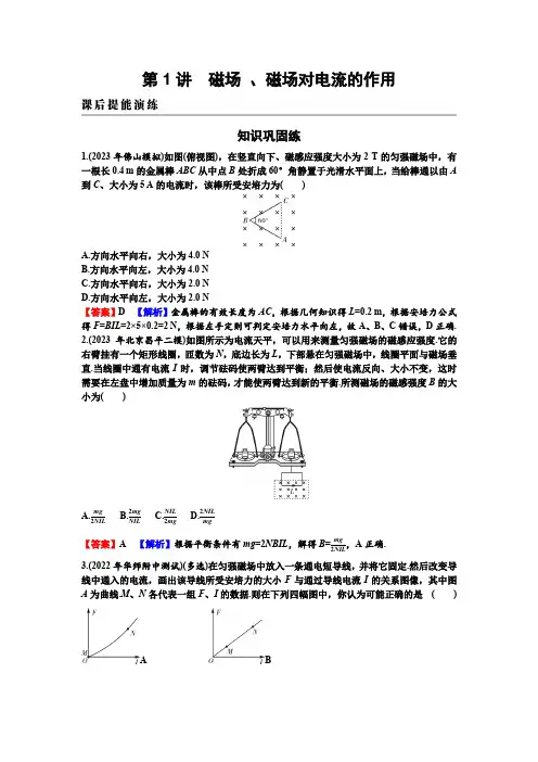 2025年高考物理总复习专题九磁场第1讲磁场、磁场对电流的作用