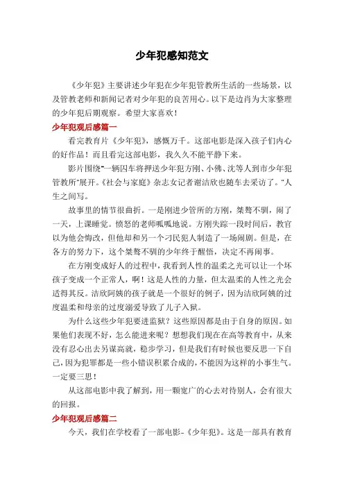 少年犯感知范文
