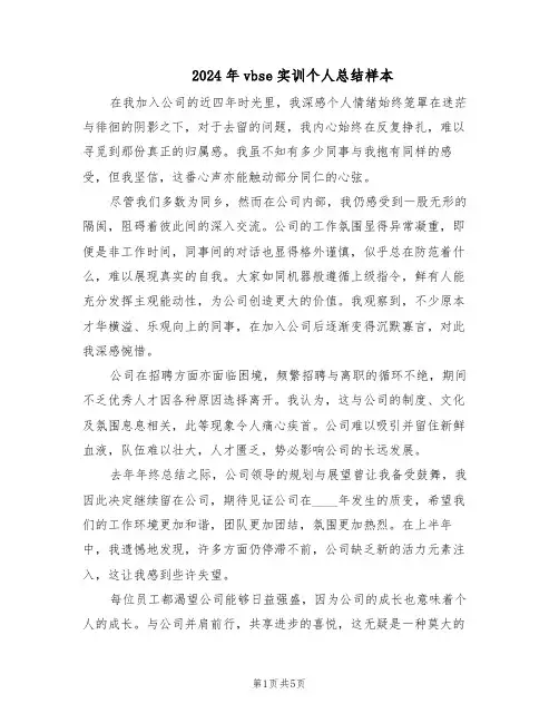 2024年vbse实训个人总结样本（3篇）