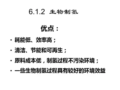 生物制氢PPT课件