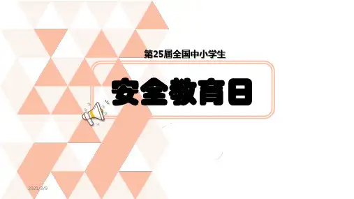 安全教育日2020年主题PPT