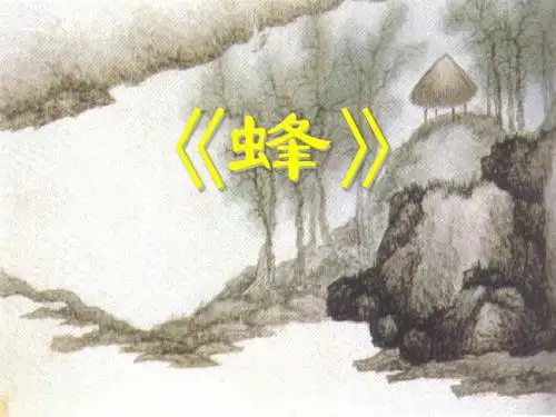 《蜂》PPT课件2 (共16张PPT)