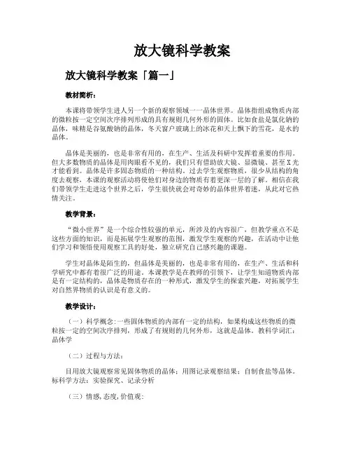 放大镜科学教案