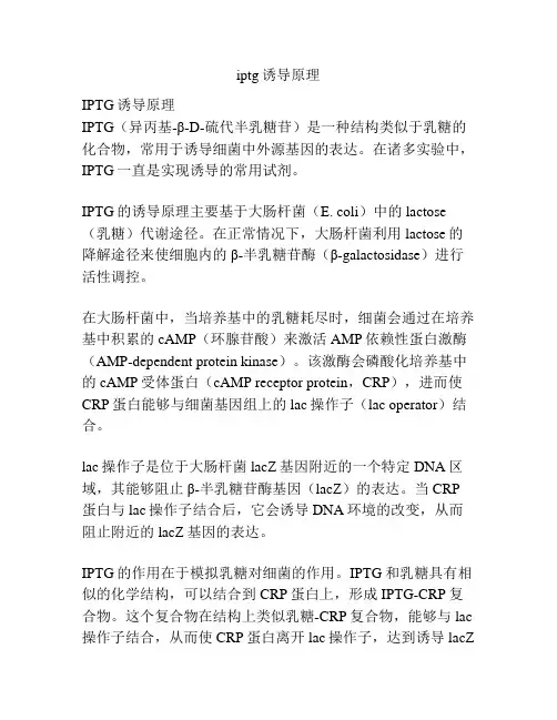 iptg诱导原理