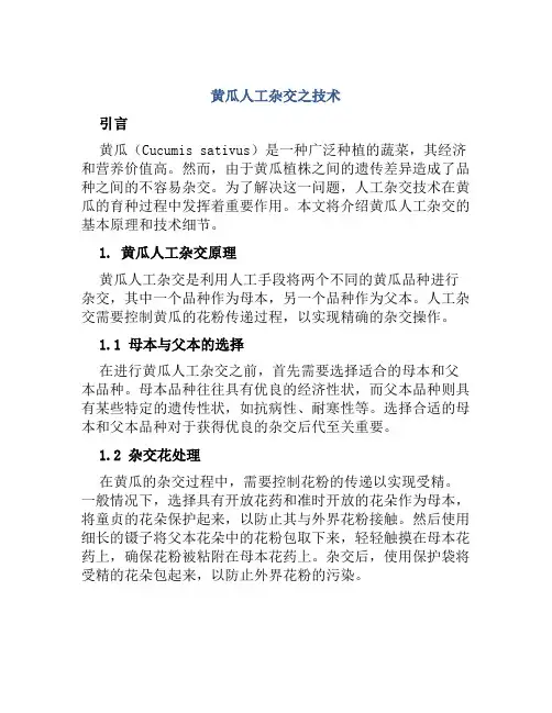 黄瓜人工杂交之技术