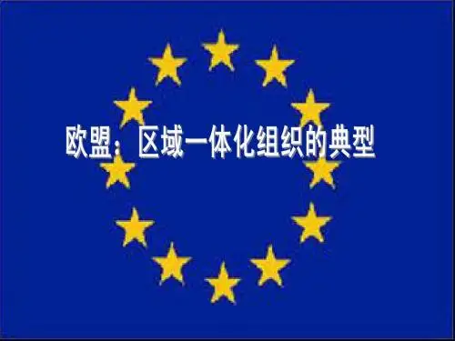 5.5 区域一体化组织的典型