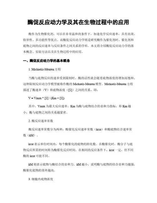 酶促反应动力学及其在生物过程中的应用