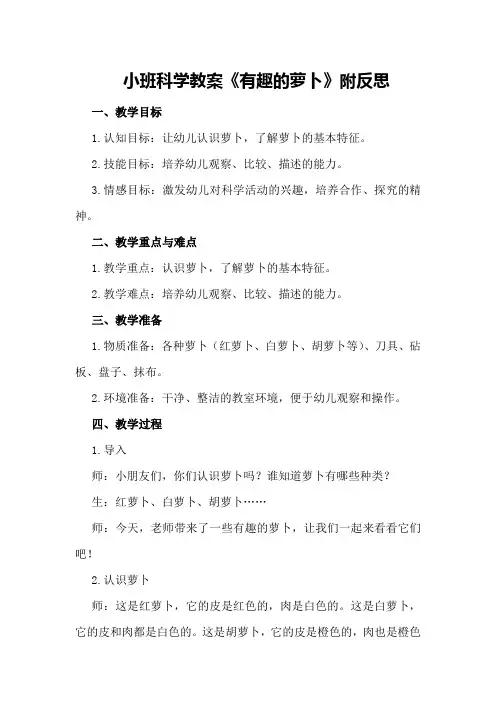 小班科学教案《有趣的萝卜》附反思