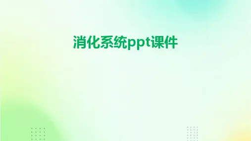 消化系统ppt课件