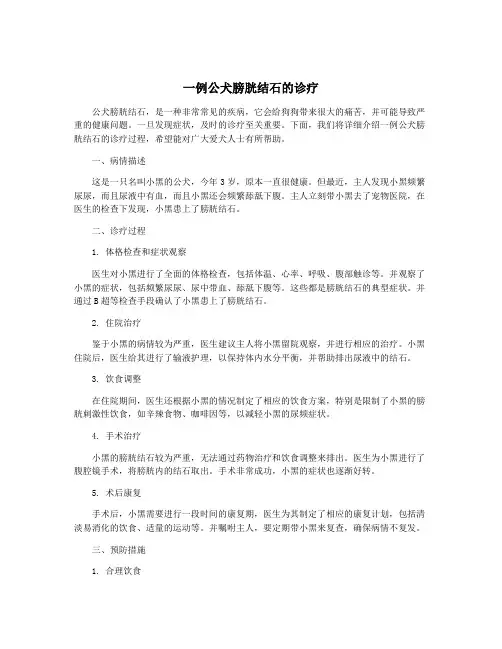 一例公犬膀胱结石的诊疗