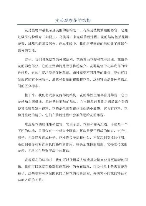 实验观察花的结构