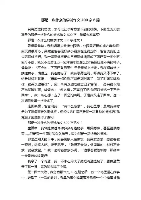 那是一次什么的尝试作文300字6篇