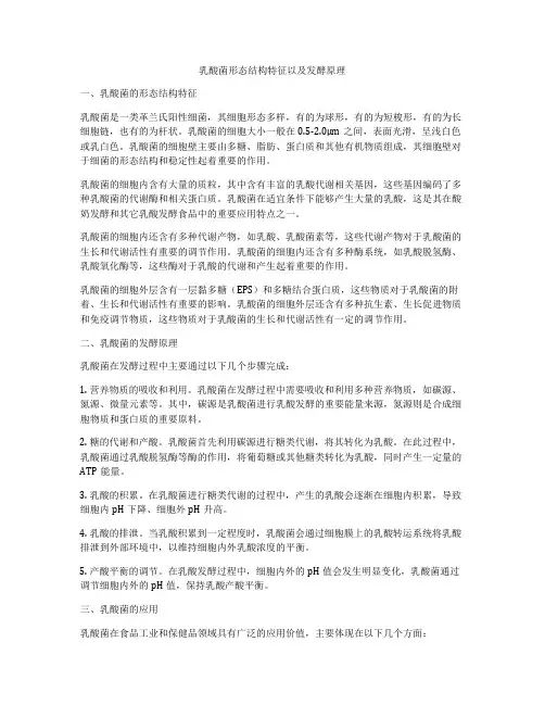 乳酸菌形态结构特征以及发酵原理