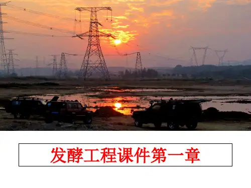 最新发酵工程课件第一章幻灯片