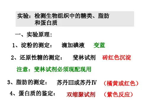 人教版高一生物必修一第2章第1节实验(共16张PPT)