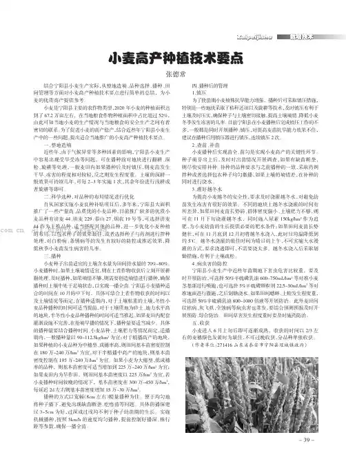 小麦高产种植技术要点