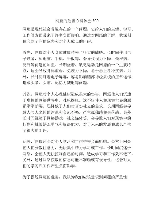 网瘾的危害心得体会300