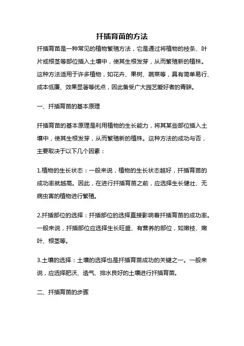扦插育苗的方法