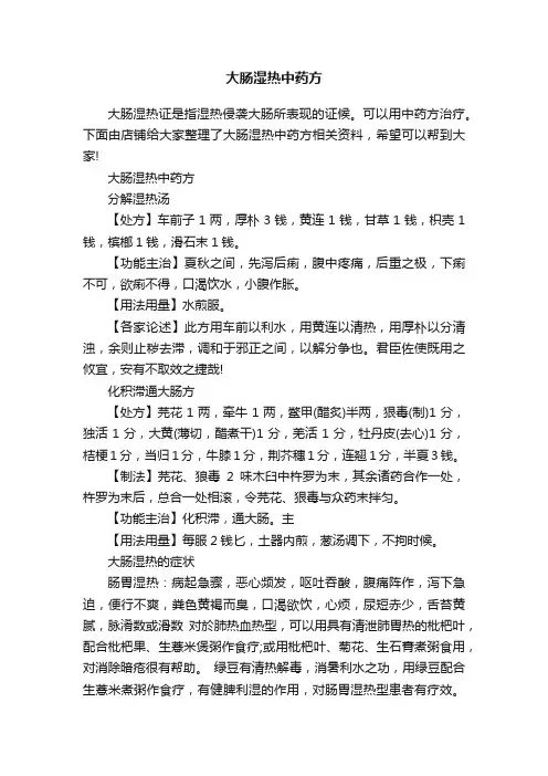 大肠湿热中药方