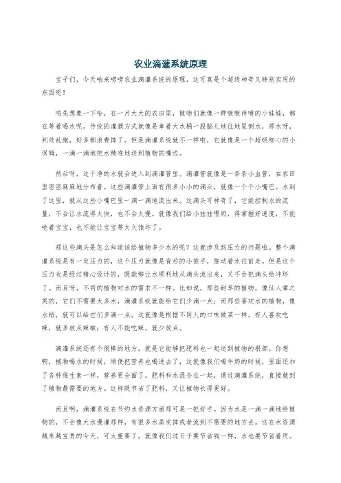 农业滴灌系统原理