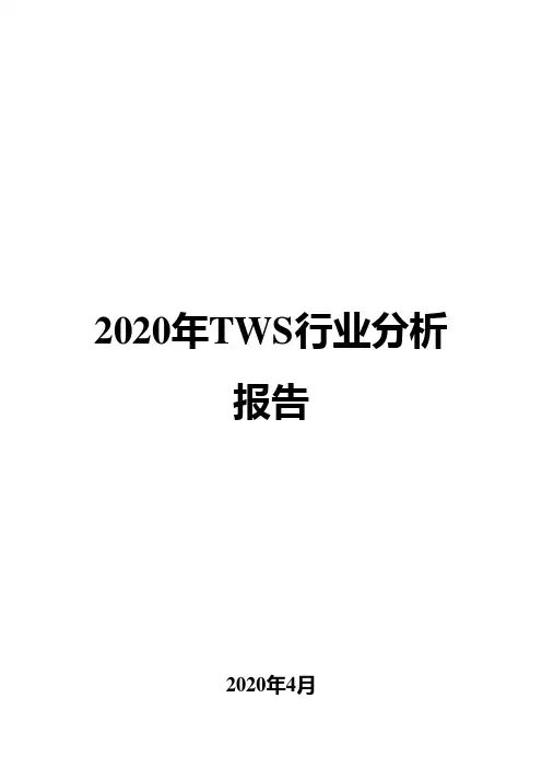 2020年TWS行业分析报告
