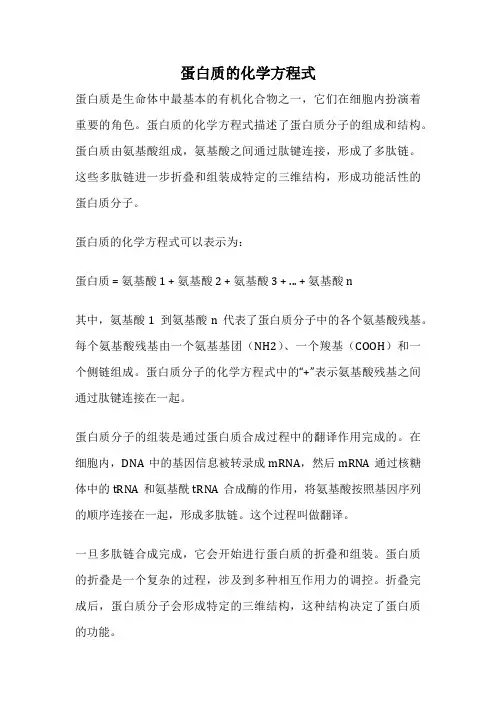 蛋白质的化学方程式