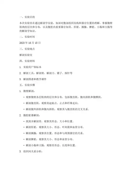 局解腹部实验报告