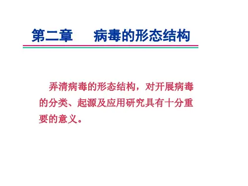 第二章 病毒的形态结构.